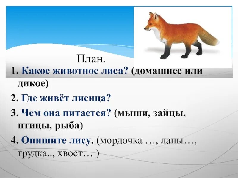 Разобрать слово лисица. Лиса сочинение 2 класс. Текст про лису. Сочинение про лису. Текст описание лисы.