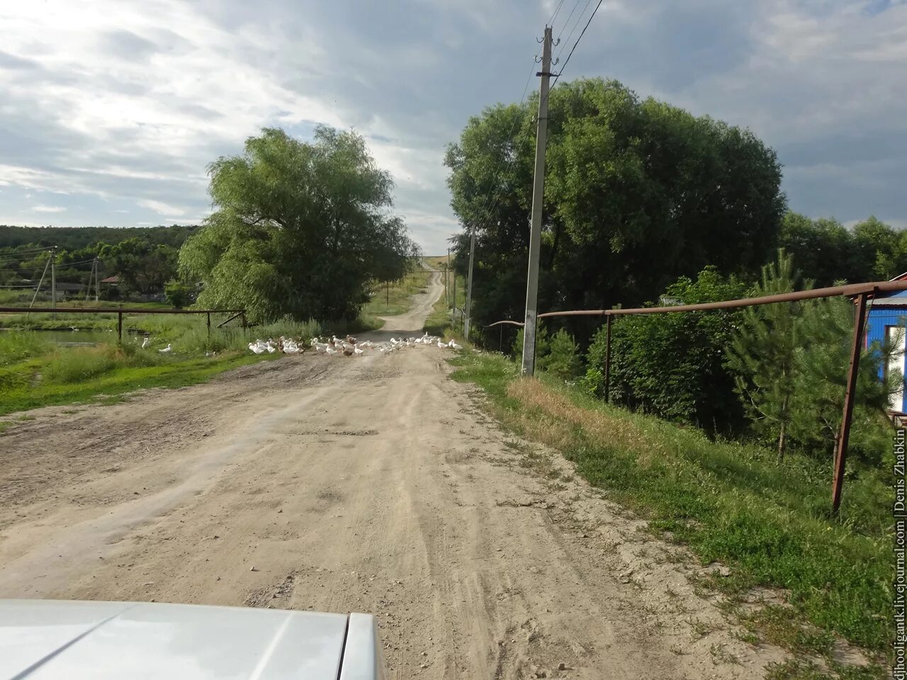 Полчаниновка усадьба Минха. Полчаниновка Татищевский район. Село Полчаниновка Саратовская область. Полчаниновка Саратовская область Татищевский район.