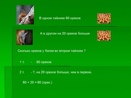 Несколько белок сделали по 4 тайника