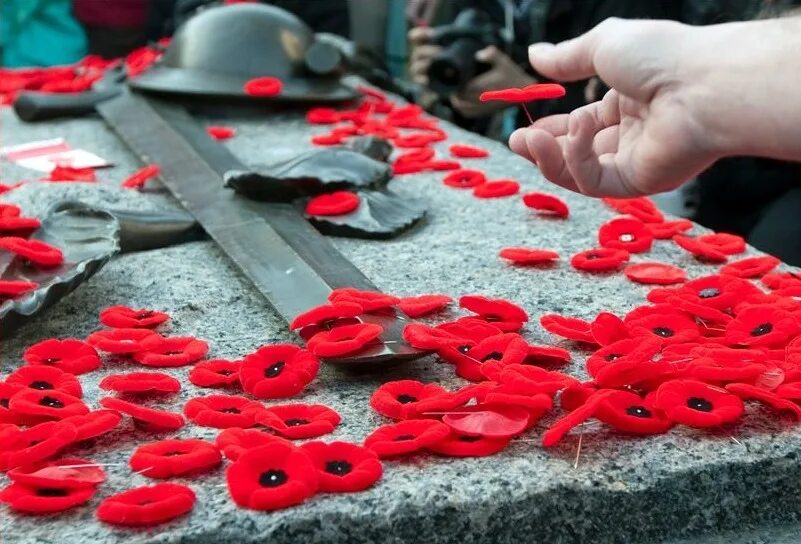 Remembrance Day. (Poppy Day). Remembrance Day great Britain. Remembrance Day Королева. Remembrance Day Canada.