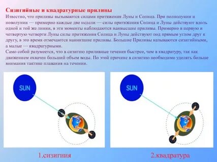 Сизигия