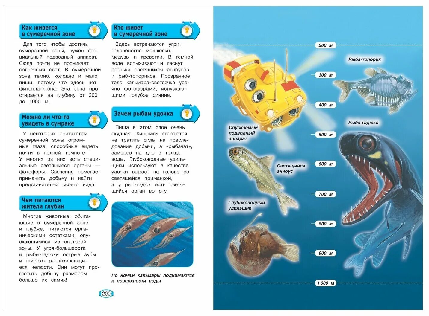 Кто живет 4 часа. Обитатели Сумеречной зоны океана. Детская энциклопедия Росмэн Москва. Кто обитает в Сумеречной зоне. Занимательная энциклопедия.