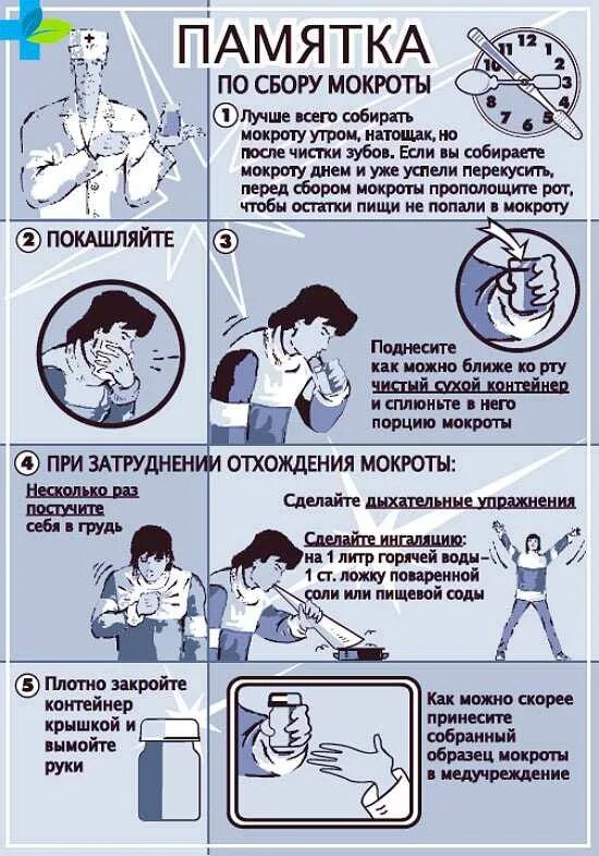 Как собрать мокроту для анализа. Сбор мокроты памятка для пациента. памятка пациенту о сдаче мокроты. памятка по сбору общего анализа мокроты. методика сбора мокроты на общий анализ.