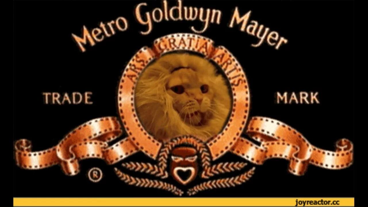 Киностудия кот. Студия метро голдвин майер. метро голден майер лев. киностудия метро голден майер. лев метро голдвин майер гифка.