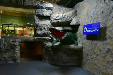 Самарский океанариум самара