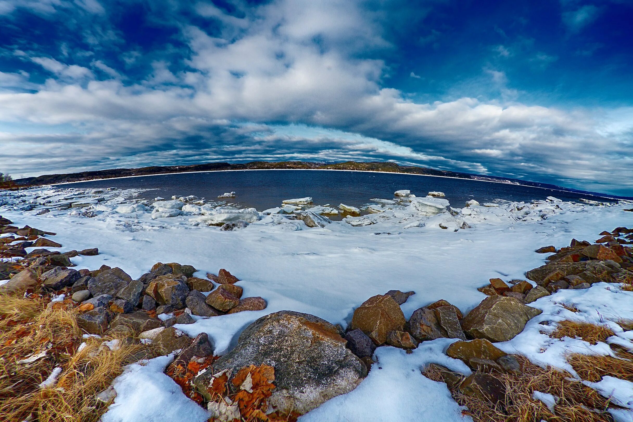 Как меняется природа арктических морей. Арктика тундра Ледяная пустыня Гренландия. Арктические пустыни. Лето в Арктике. Арктические пустыни фото.