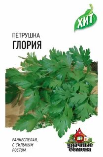 Семена петрушка листовая