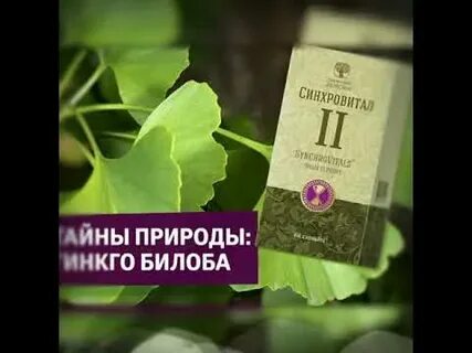 Что такое синхровитал
