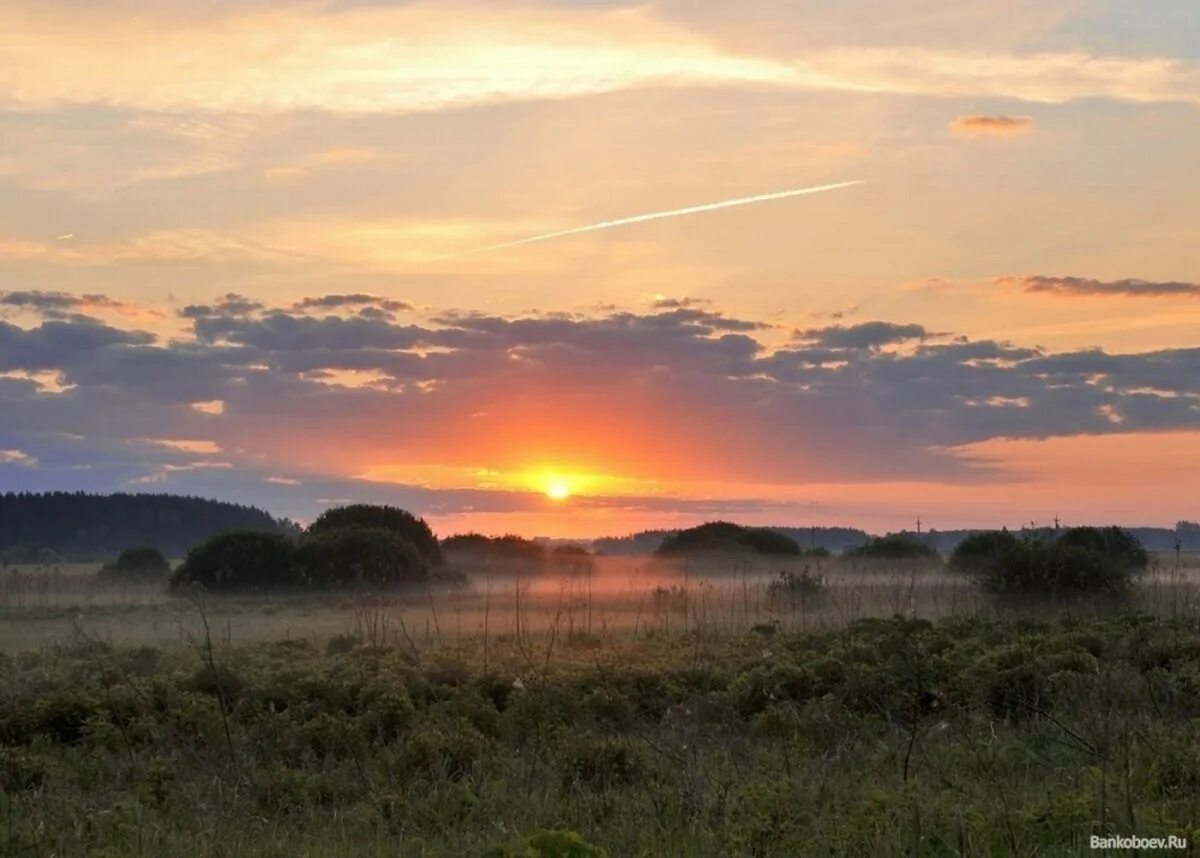 Заря в поле. Румяные зори. Утренняя заря. Бежин луг рассвет. Туман в пригороде.