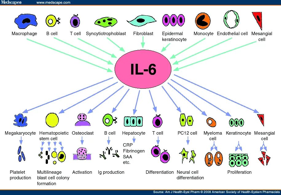 Интерлейкин 1 схема. Интерлейкин 8. Интерлейкин 6 структура. Семейство интерлейкинов 6. Il vi