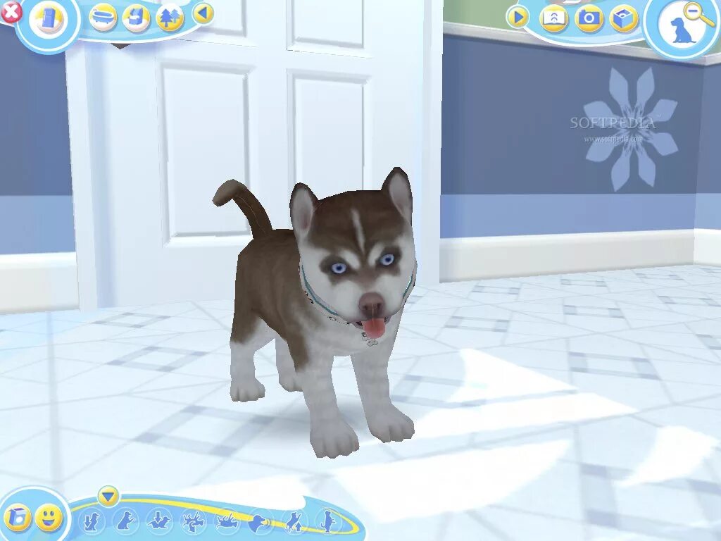 Играть говорящий животные. Petz Dogz. Игра Dogz 2. Petz Catz и Dogz 10. Dogz 2 Wii.