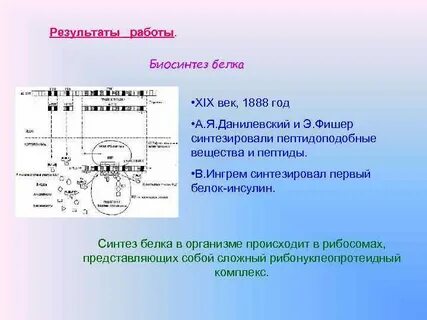 Белки не синтезирующиеся в организме называются