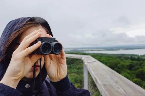 Observation