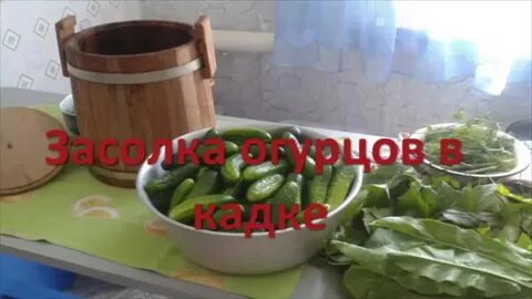 Огурцы для засолки в бочках