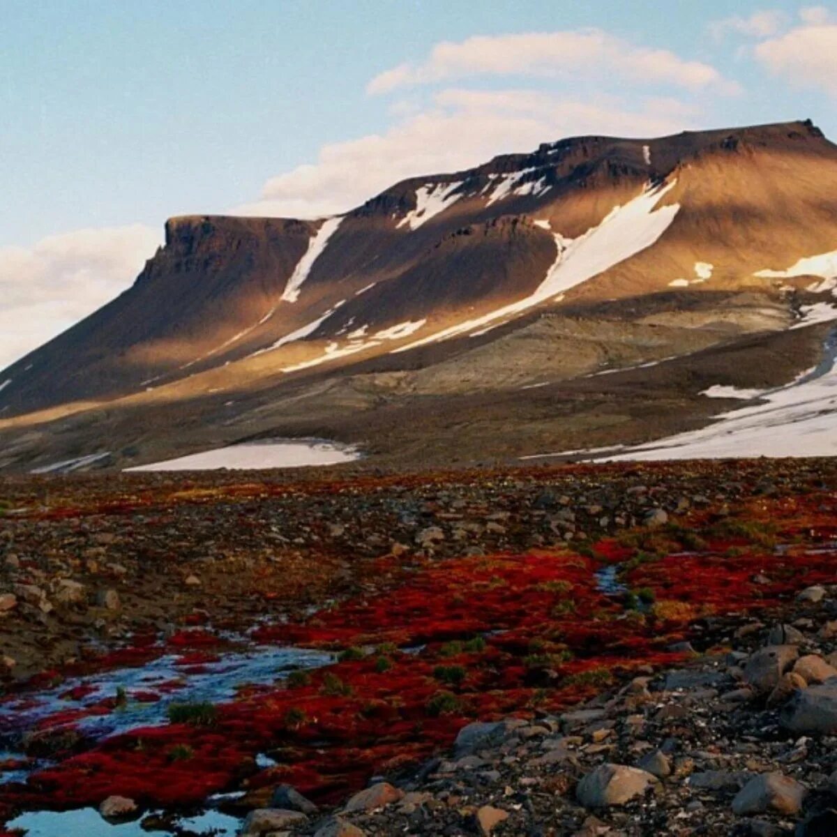 архипелаг земля франца-иосифа. арктика земля франца иосифа. арктика земля франца иосифа. природный заказник земля франца-иосифа. о.