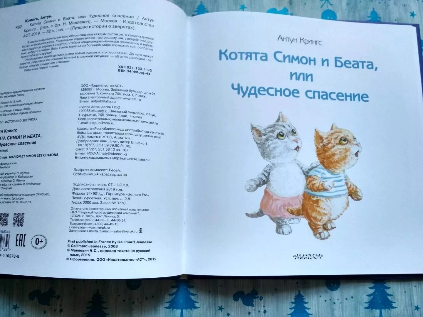 Книга про кота читать. Спасти кошку книга. Спасите котика книга. Спасение котёнка книга.