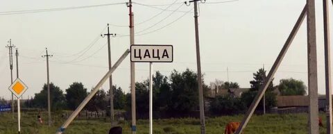 Цаца
