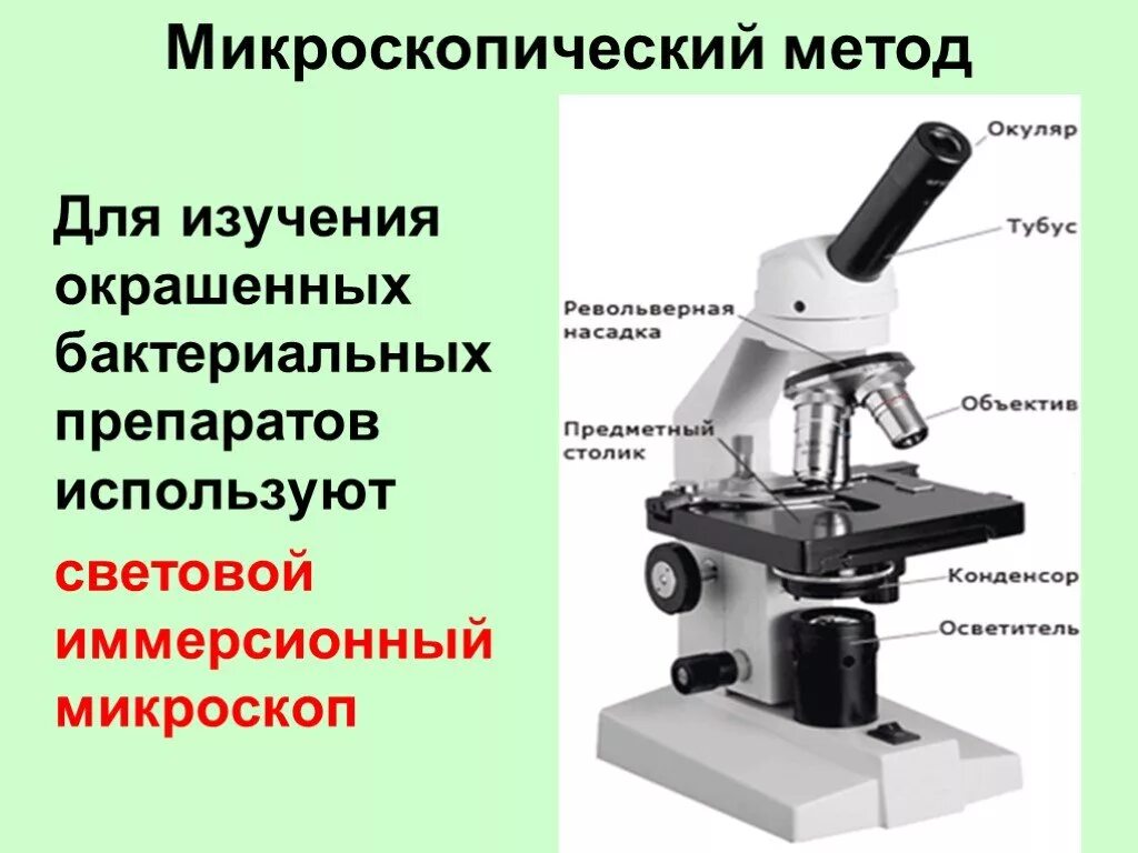 Какую функцию выполняет основание светового микроскопа. Микроскоп (с иммерсионным объективом) XSZ-107bn. Иммерсионный микроскоп строение. Световой микроскоп строение макровинт. Иммерсионная микроскопия микроскопии..