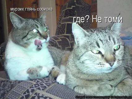 Не томи