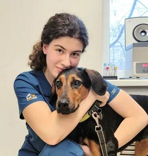 Вакансии в ассистент ветеринарного врача