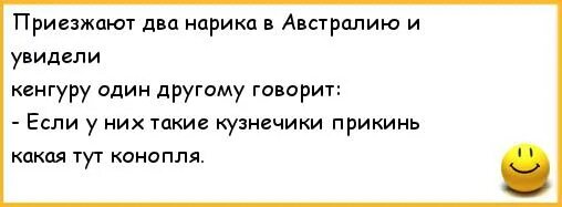 Приезжает на несколько часов