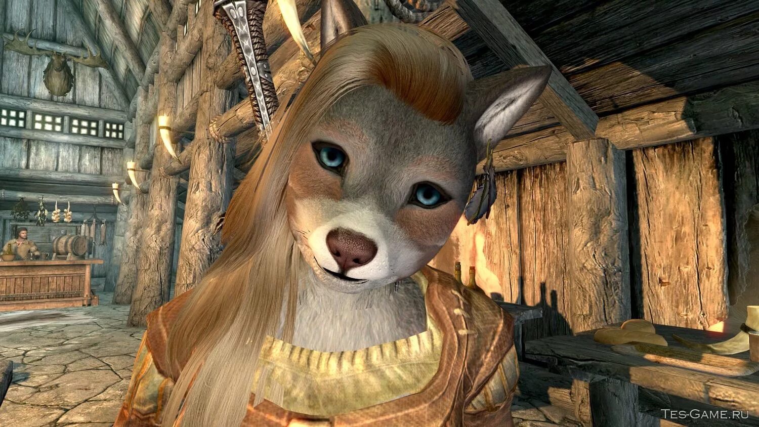 Furry моды. Lykaios Race компаньон. Skyrim компаньон Лисичка. Скайрим компаньон зверолюд. Lykaios Race скайрим.