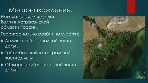 Дельта реки волги субъект