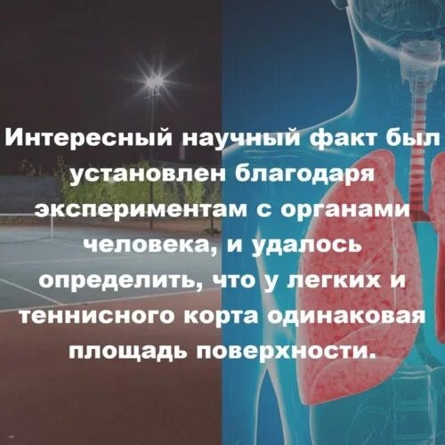 Благодаря опыту работы. Благодаря опыту работы