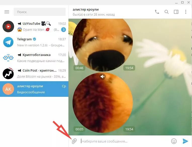 Как переслать видеосообщение. Видеосообщение в телеграмме. Отправить видеосообщение в телеграмме. Как записать видеосообщение в телеграмме. Как записывать видео в Телегра е.