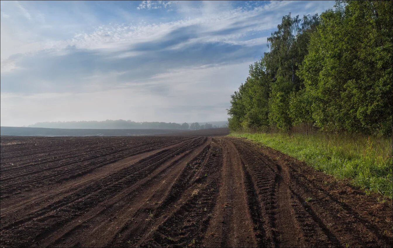 Деревня пашня