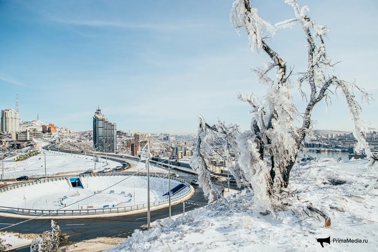 Ледяной шторм Владивосток. Обледенение во Владивостоке 2020. Шторм Владивосток 2020. Ледяной дождь во Владивостоке 2020. Владивосток климат зимой