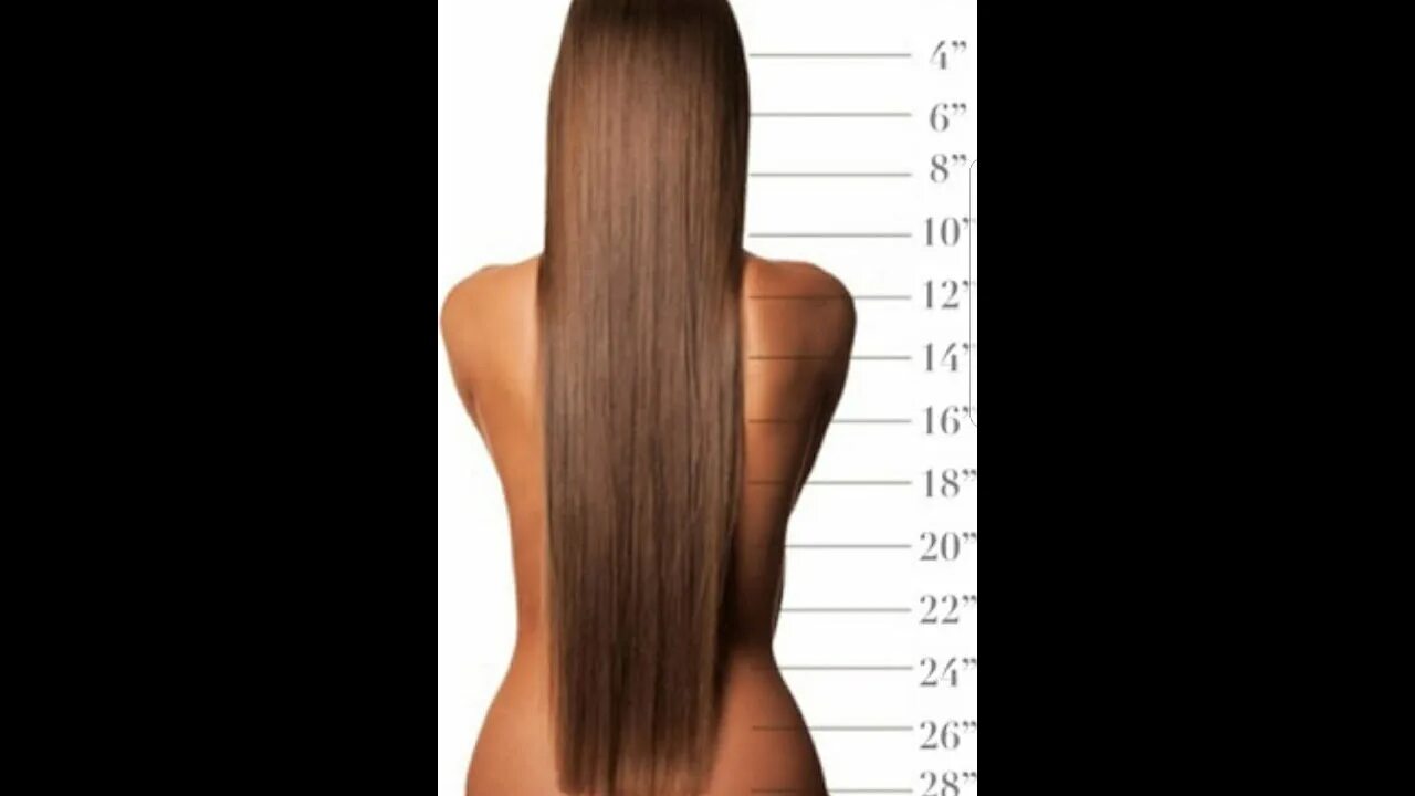 Длина волос в см таблица по длинам. Короткие средние и длинные волосы. Длина волос. Градация длины волос. Мерка длины волос.