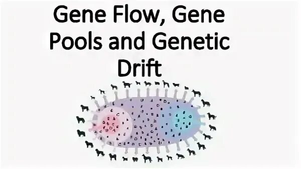 Gene effect. Gene effect