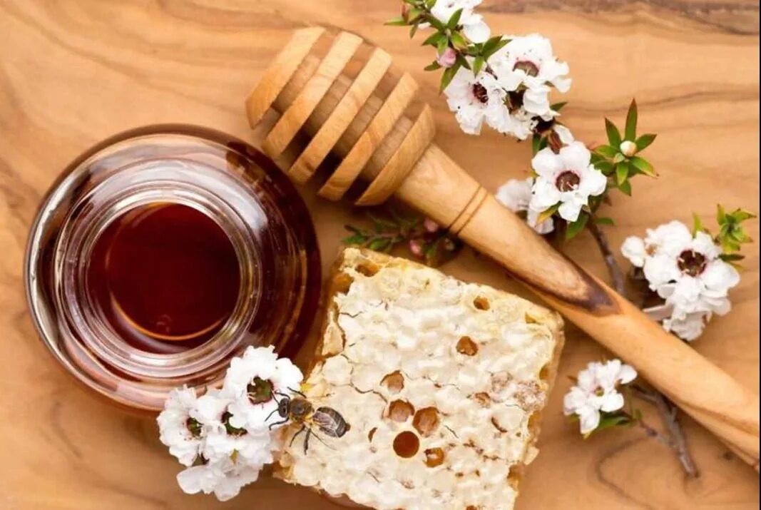 Manuka honey. Манука Honey. Новая Зеландия Манука. Мед из мануки. Мед Манука фото.