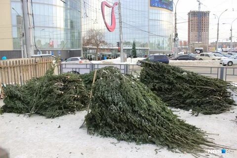Елочный базар новосибирск
