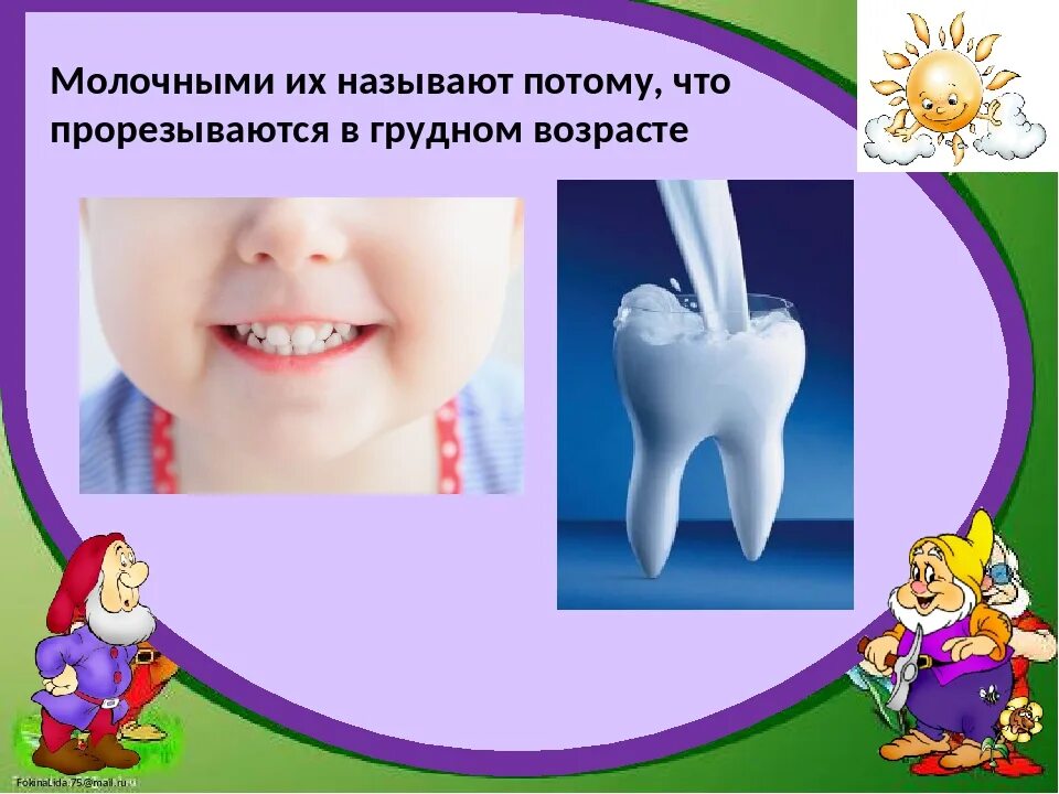 Почему выпадают зубы. Рисунок молочных зубов. как выпадают молочные зубы. почему выпадают молочные зубы. почему выпадают молочные зубы у детей.