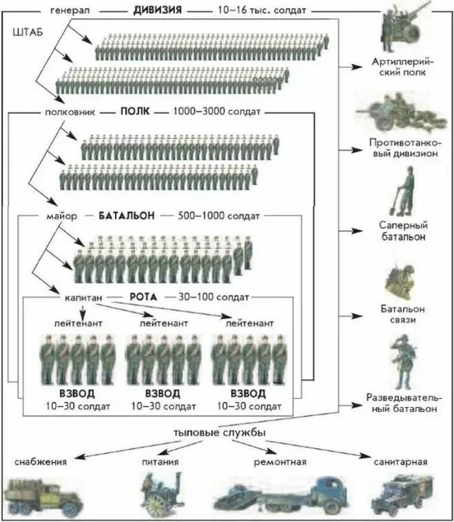 Армия это сколько солдат. Численность роты батальона полка дивизии.