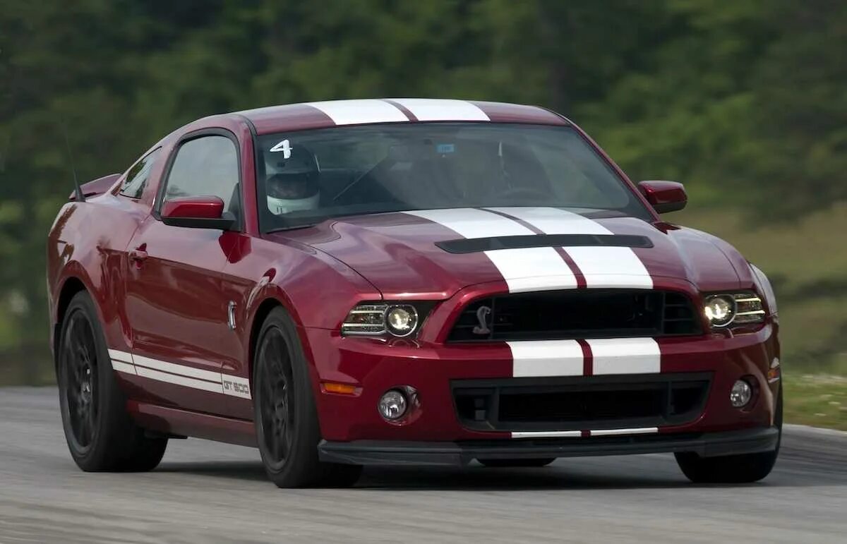 Mustang shelby gt