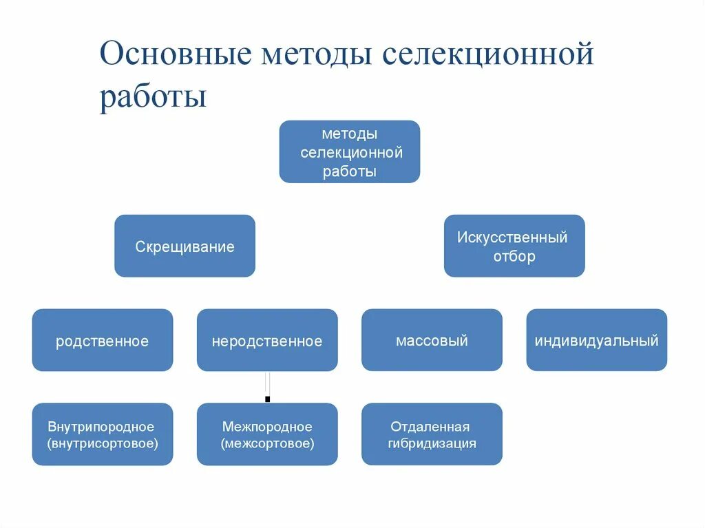 Какие методы используются в селекционной работе. Методы селекционной работы схема. основные методы селекционной работы. основные методы селекции работы. методы селекционной работы таблица.