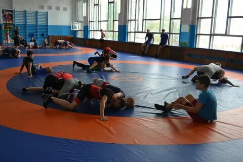 Спортивная подготовка вольная борьба