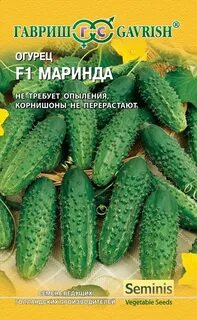 Огурцы маринда описание