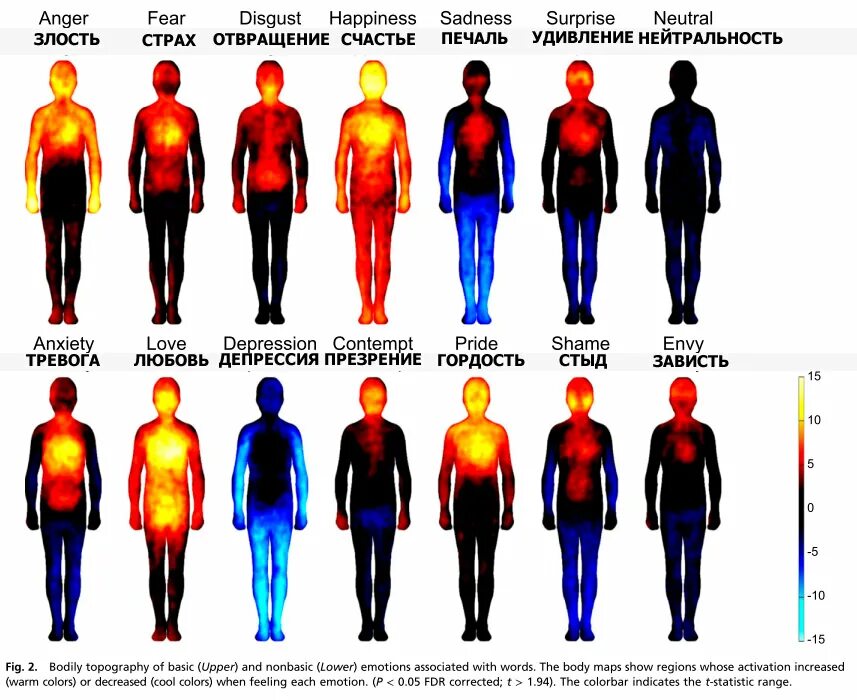 Окраска эмоций. Тепловая карта эмоций. Цвета эмоций. Влияние эмоций на тело. Разные эмоции человека.