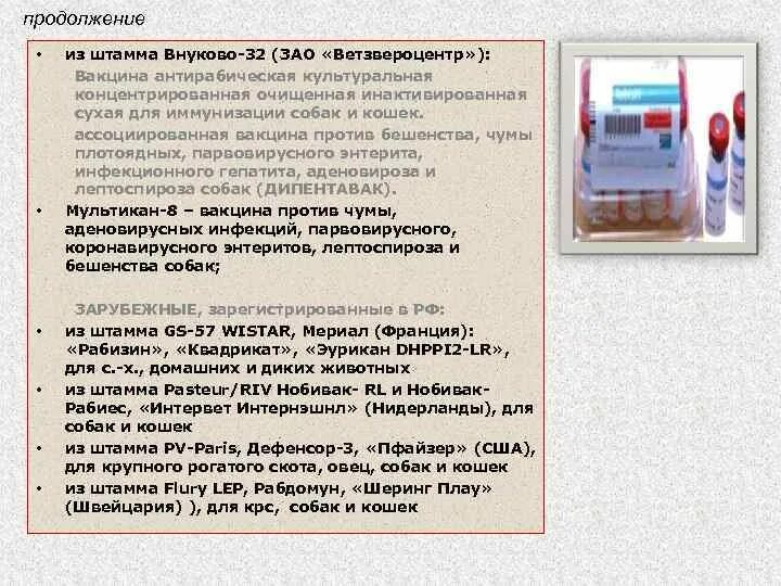 Введение антирабической вакцины