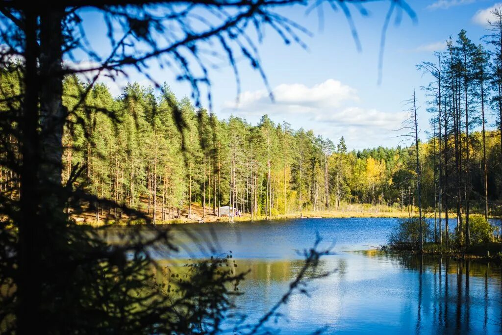 Парк скандинавия. Парк Скандинавия Greenvald. Парк Скандинавия Greenvald СПБ. Гринвальд Скандинавия. Гринвальд парк Скандинавия озеро.