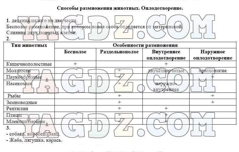 Размножение животных 7 класс. Способы бесплодного размножения у животных. Размножение животных таблица. Размножение животных 7 класс. Способы полового размножения у животных.