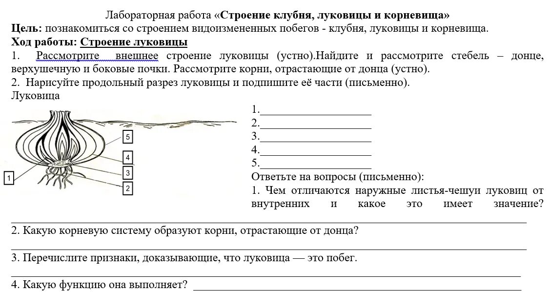 Конспект по биологии 6 класс. Что такое план- конспект по биологии 6. Биология 6 класс задания. Опорный конспект по биологии 6 класс жизнедеятельность растений. Конспект по воде биология 6 класс