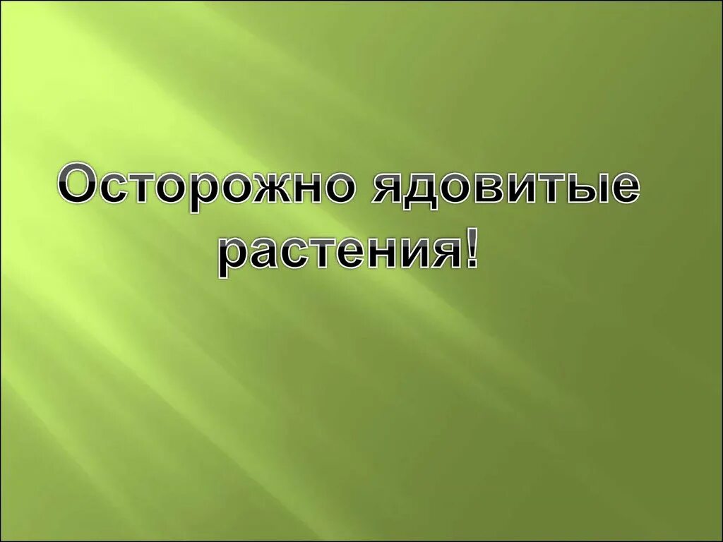 Проект о лесных опасностях Презентация на тему: "Работу выполнила ученица 2 "в" класса Правосудова Влада.".
