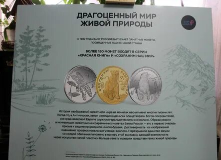 Благородный мир