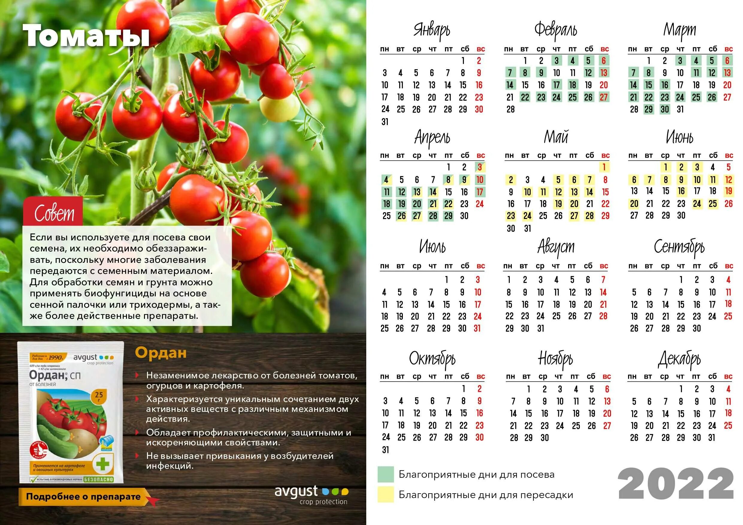 Самые благоприятные дни в феврале 2024 года. Лунный календарь 2022. Календарь садовода. Лунный календарь огородника. Лунный календарь садовода.
