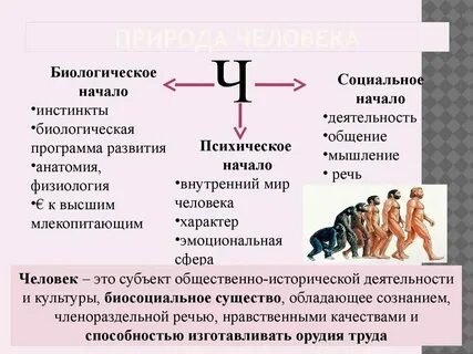 Инстинкты это биологическое или социальное